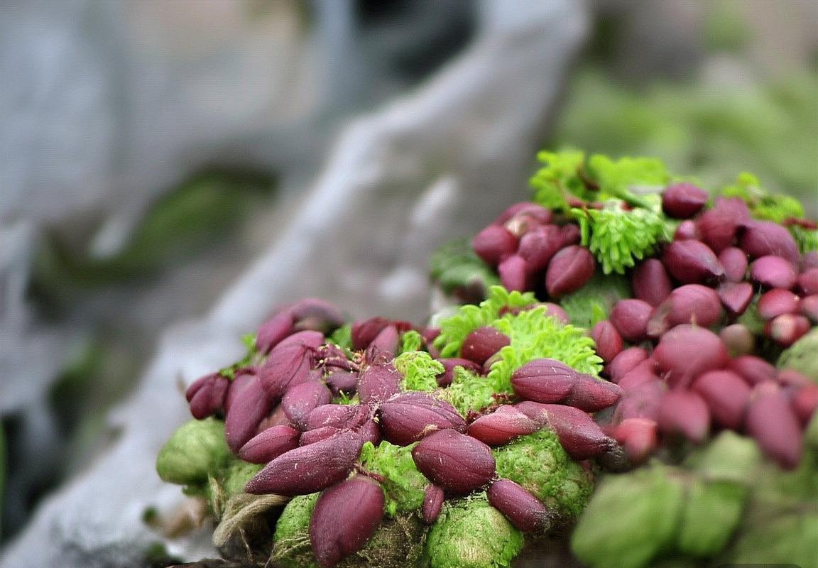 乔尔·恩比德：创纪录得分王，篮球艺术与团队领袖的完美结合(图3)